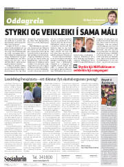 Síða 2