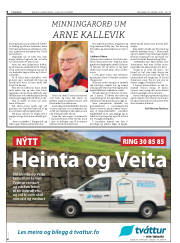 Síða 8