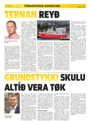Síða 11