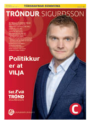 Síða 17