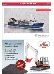 Síða 20
