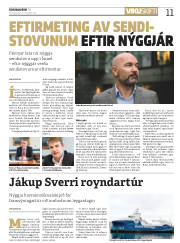 Síða 11