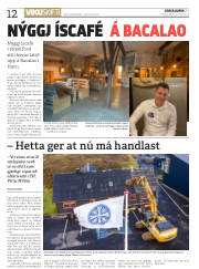 Síða 12