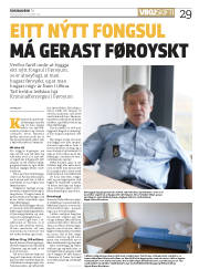 Síða 29