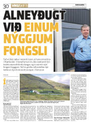 Síða 30