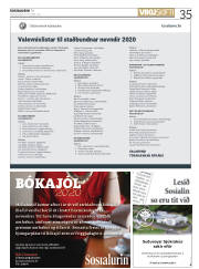 Síða 35