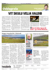 Síða 2