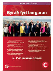 Síða 11
