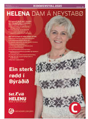 Síða 15