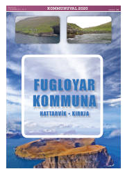 Síða 17