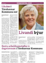 Síða 20