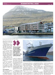 Síða 35