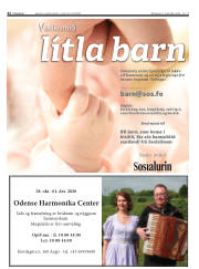 Síða 42