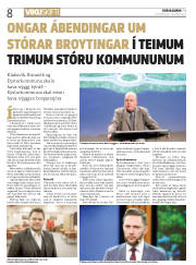 Síða 8