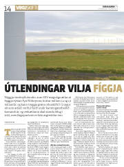 Síða 14