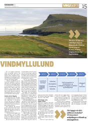 Síða 15