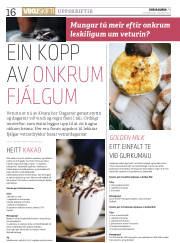 Síða 16