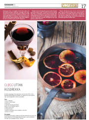 Síða 17