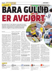 Síða 30