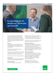 Síða 3