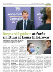 Síða 7