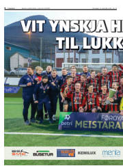 Síða 8