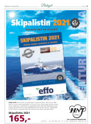 Síða 25
