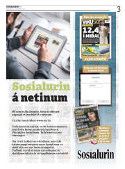 Síða 3