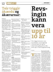 Síða 12