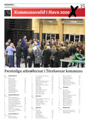 Síða 15