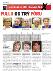 Síða 17