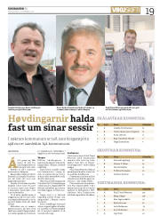 Síða 19