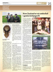 Síða 25