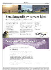 Síða 13