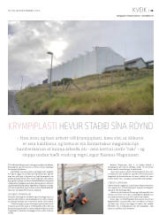 Síða 39