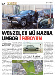 Síða 12