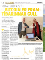 Síða 18