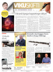 Síða 2