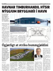 Síða 6