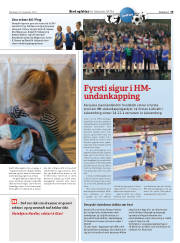 Síða 19