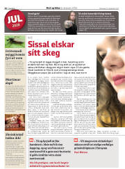 Síða 30