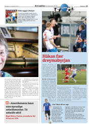 Síða 35