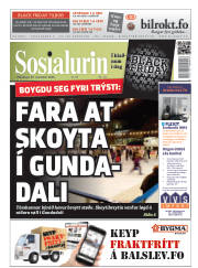 Síða 1