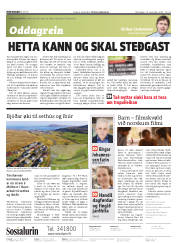Síða 2
