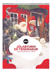 Síða 3