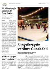 Síða 6