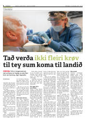 Síða 8