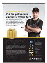 Síða 11