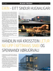 Síða 20