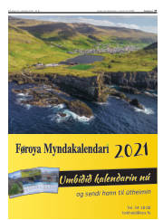 Síða 37